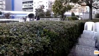 经典成人色奶水不雅视频动态- 高清在线观看